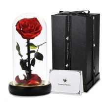 Presente Beauty and The Beast Rose com luz LED para ela