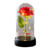 Presente Cúpula de Acrílico com Rosa e Fio de Fada LED Presente Cúpula de Acrílico com Rosa e Fio de Fada LED
