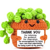 Presente de agradecimento BackurYear, crochê feito à mão, suculenta