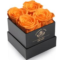 Presente de aniversário preservado de Rose Impouo Eternal Love para ela