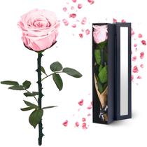 Presente de flor preservada YAMPP Pink Eternal Rose para mulheres Presente de flor preservada YAMPP Pink Eternal Rose para mulheres