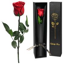Presente de flor real eterno Yamonic Preserved Rose, 30 cm Presente de flor real eterno Yamonic Preserved Rose, 30 cm
