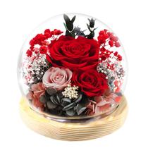 Presente de rosas preservadas FIACO Eternal Flower Glass Dome 12x13 cm