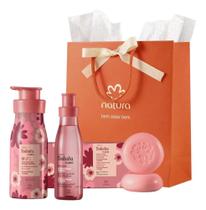 Presente Natura Feminino Tododia Completo Presente Natura Feminino Tododia Completo