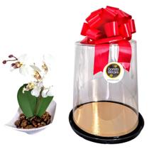(PRESENTE) Orquidea Artificial Para Presentes Branca Embalada No Vaso Namoro Aniversário Amiga Mulheres Mãe Flores Artificiais para Presentear