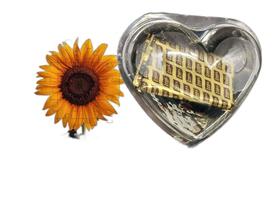 Presente Páscoa Diet Chocolate Idosos + 1 Quebra-Cabeça Presente Páscoa Diet Chocolate Idosos + 1 Quebra-Cabeça