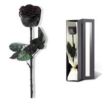 Presente romântico preservado Rose SoFLiv para mamãe, cor preta Presente romântico preservado Rose SoFLiv para mamãe, cor preta