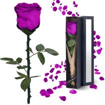 Presente YAMPP Purple Preserved Forever Rose para mulheres Presente YAMPP Purple Preserved Forever Rose para mulheres