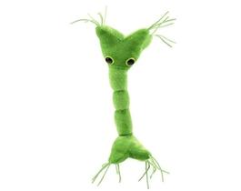 Presentes de ciências biológicas de células nervosas de pelúcia Giant Micróbios 18 cm