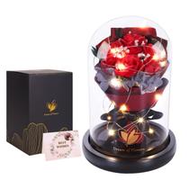 Presentes de flores de aniversário para mulheres, presente de rosas de aniversário para ela, A Bela e a Fera em cúpula de vidro com 2 modos de iluminação, buquês Forever Flowers, presentes de aniversário para mulheres, mãe, esposa, namorada