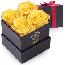 Presentes preservados de Rose Impouo para mulheres aniversariantes