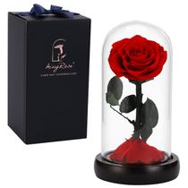 Preserved Rose SW Forever em Glass Dome para o Dia das Mães