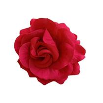 Presilha Cabelo de Rosa Vermelha com Broche e Bico de Pato Delicadeza e Encanto em Um Só Acessório