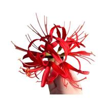 Presilha De Cabelo Retrô Vermelha Com Flor De Lírio Aranha E Borla, Flor De Tecido Para Noivas E