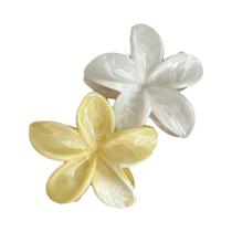 Presilha Grande De Cabelo Para Férias De Verão Na Praia, 2 Peças, Presilha De Cabelo De Acrílico Com