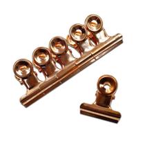 Presilha p rose para curvatura c helen color 6un