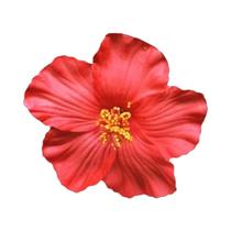 Presilhas De Cabelo Florais Havaianas: Acessórios Românticos Para Festas Na Praia E Franjas Laterais