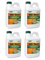 Preventor de manchas American Hydro Systems RR2 Rid O' Rust 2L