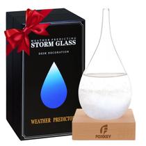 Previsor do Tempo Storm Glass F FOXKEY em Formato de Gota Previsor do Tempo Storm Glass F FOXKEY em Formato de Gota