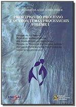 Principios do processo e outros temas processuais - vol.i - CABRAL EDITORA UNIVERSITARIA