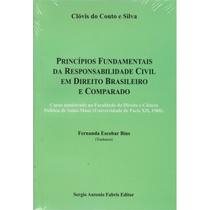 Princípios Fundamentais da Responsabilidade Civil em Direito Brasileiro e Comparado