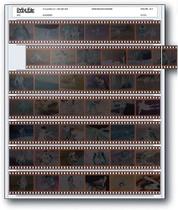 Print File Modelo 35-7bxw ( Pack 100 Folhas Print File Modelo 35-7bxw ( Pack 100 Folhas