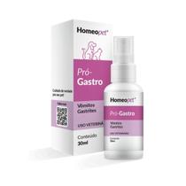 Pró Gastro Cães Gatos Terapia Gastrite Vômitos Homeopet 30ml