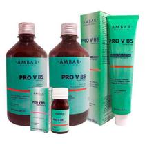 Pro V B 5 Bepantol Kit Completo Antiqueda Âmbar Profissional