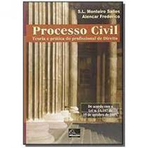 Processo civil - teoria e pratica do profissional do direito - MILLENNIUM