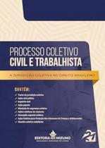 Processo Coletivo Civil e Trabalhista - a Jurisdicao Coletiva no Direito br