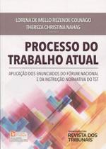 Processo do Trabalho Atual Aplicação dos Enunciados do Fórum Nacional e da Instrução Normativa TST