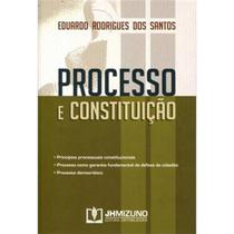 Processo e Constituicao