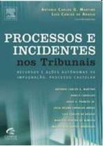 Processos e Incidentes Nos Tribunais