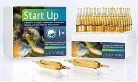 Prodibio Start Up - CX 30 ampolas (+StopAmmo Start +BioDigest Start)