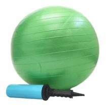 Professional Fisioball Fisiopauher 45cm - Ortho Pauher Professional Fisioball Fisiopauher 45cm - Ortho Pauher