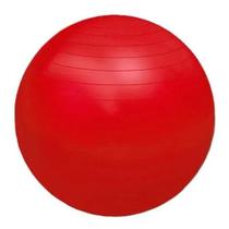 Profissional fisioball fisiopauher - 45cm