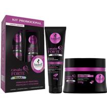 Promopack Protetor E Máscara 300G Haskell Cavalo Forte Hidra