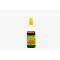 Própolis Verde 11% 20ml- Mel das Gerais Própolis Verde 11% 20ml- Mel das Gerais