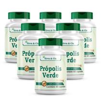 Própolis Verde 360 Cápsulas 500Mg 6 Frascos 100% Pura