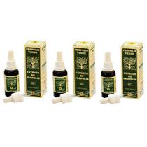 Própolis Verde Extrato De Própolis Apis Flora 30ml Kit C/3