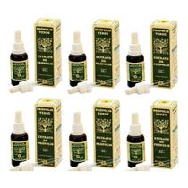 Própolis Verde Extrato De Própolis Apis Flora 30ml Kit C/ 6