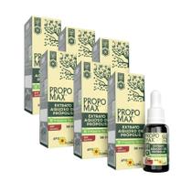 PROPOMAX Extrato Aquoso de Própolis Sem Álcool 30 ml Apis Flora - Kit 6 unidades