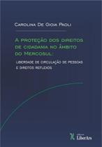 PROTEçãO DOS DIREITOS DE CIDADANIA NO ÃMBITO DO MERCOSUL, A: LIBERDADE DE CIRCULAçãO DE PESSOAS E DI