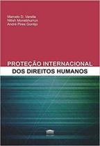 Proteção internacional dos direitos humanos