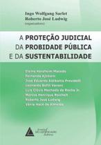 Proteçao judicial da probidade publica e da sustentabilidade