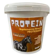 Protein 3kg Aminoácido Para Cavalos Suplemento Mineral