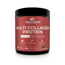 Proteína de colágeno em pó Wholesome Wellness Multitype
