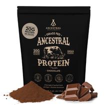 Proteína em pó Ancestral Supplements Chocolate 600g Proteína em pó Ancestral Supplements Chocolate 600g