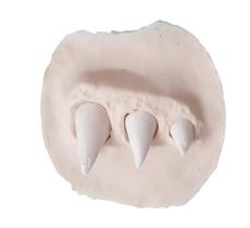 Prótese simulando dentes em borracha de silicone - Fantasia - Lynx