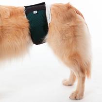 Protetor Absorvente Higiênico Fralda de Cachorro Macho N 2
